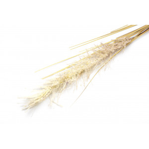Штучна рослина Осока, 118 см, коричневий, пластик, поліестер, дріт (130399)
