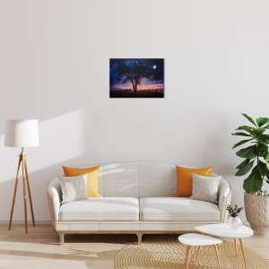 Картина, що світиться - нічне небо із повним місяцем, який світиться, 1 LЕD лампа, 30x40 см (940225)