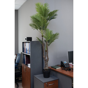 Штучне дерево - Пальма 175 см, в горщику (360375)