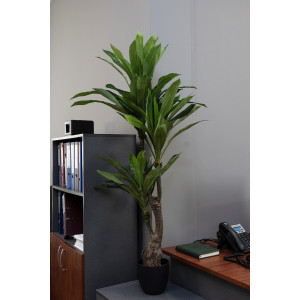 Штучне дерево - Драцена 140 см, в горщику (360399)