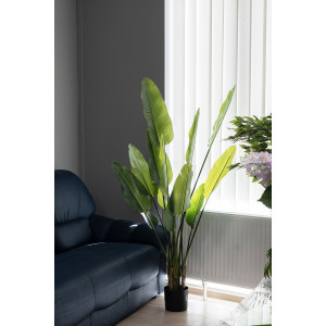 Штучна трава - Стреліція 160 см, в горщику (360436)