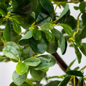 Штучне дерево - Пітоспорум 250 см, на підставці (360559)