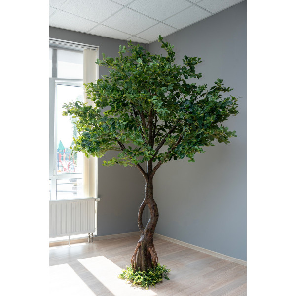 Штучне дерево - Пітоспорум 250 см, на підставці (360559)