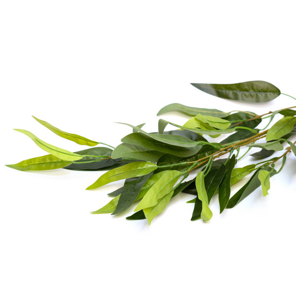 Штучна гілочка, Евкаліпт, 95 см, зелений (631581)