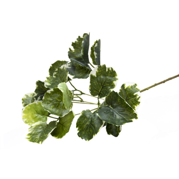 Штучна гілочка Полісциас, 67 см, світло-зелений (631604)