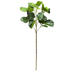 Штучна гілочка Полісциас, 67 см, зелений (631635)