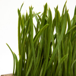 Штучна рослина в горщику - зелена травка, зелений, 15 см, пластик (960347)