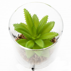 Штучна рослина - Сукулент в скляній вазі, 12 см, зелена (190706)