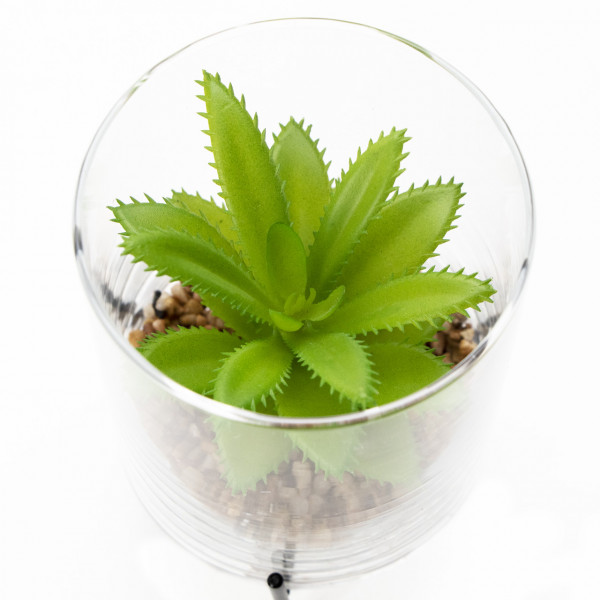 Штучна рослина - Сукулент в скляній вазі, 12 см, зелена (190706)