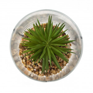 Штучна рослина - Сукулент в скляній вазі, 12 см, зелена (190713)