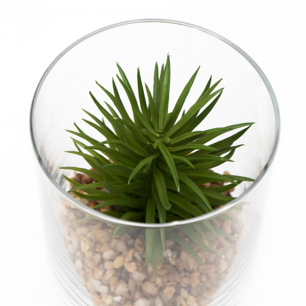 Штучна рослина - Сукулент в скляній вазі, 12 см, зелена (190713)