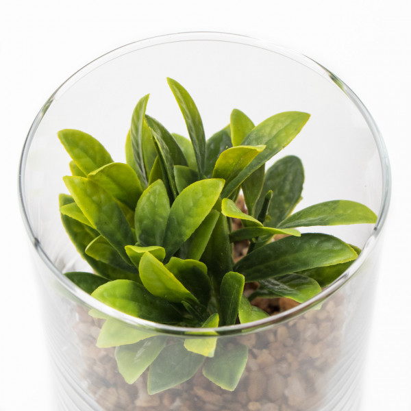 Штучна рослина - Сукулент в скляній вазі, 12 см, зелена (190720)