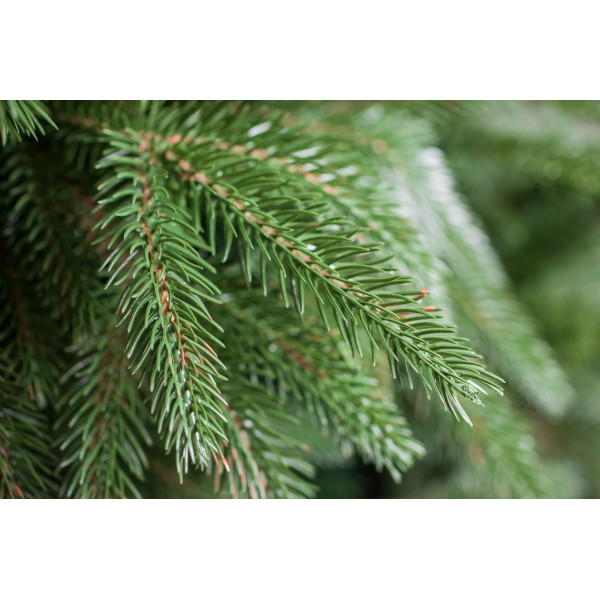 Ялинка комбінована штучна новорічна Елла-180, висота 180 см (ella-180)