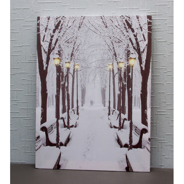 Картина, що світиться - зимовий парк із лавочками та вуличними ліхтарями, 6 LЕD ламп, 40x30 см (940171)