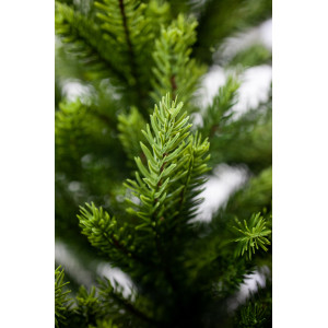 Ялинка лита штучна новорічна Лора, висота 210 см (Lora-210)