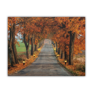Картина, що світиться - осіння стежка з ліхтарями, 6 LЕD ламп, 30x40 см (940072)