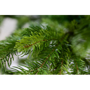 Ялинка лита штучна новорічна Дана-240, висота 240 см (dana-240)