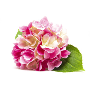 Штучна квітка Гортензія, 42 см, рожева (630584)