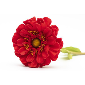 Штучна гілка Маргаритка, тканина, пластик, 50 см, червоний (630270)