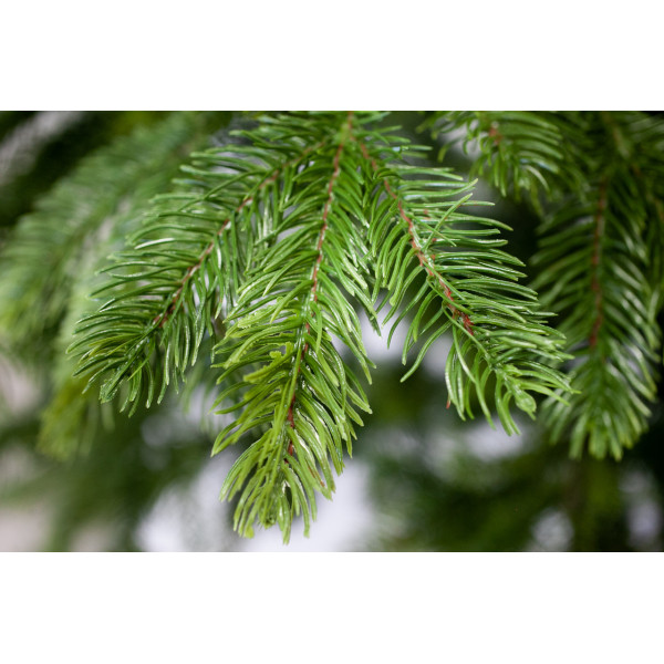 Ялинка лита штучна новорічна Дана-150, висота 150 см (dana-150)