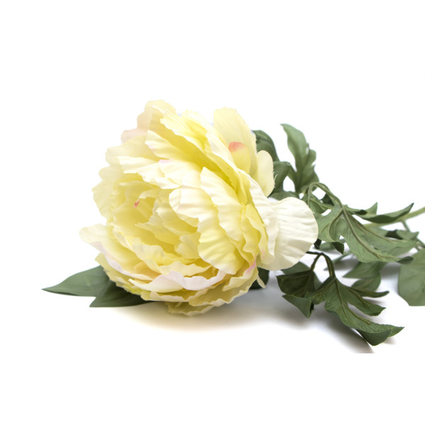 Штучна квітка Півонія, 83 см, білий, пластик (130344)