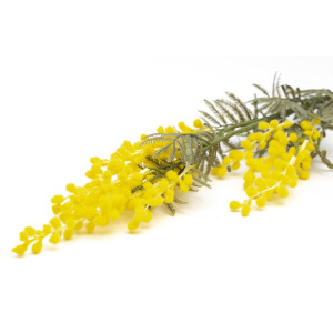 Штучна квітка Мімоза (Акація), 88 см, жовтий, полімерний матеріал, тканина (630133)