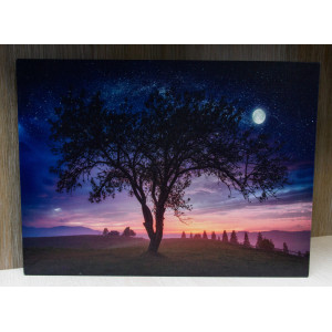Картина, що світиться - нічне небо із повним місяцем, який світиться, 1 LЕD лампа, 30x40 см (940225)