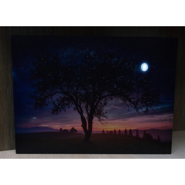 Картина, що світиться - нічне небо із повним місяцем, який світиться, 1 LЕD лампа, 30x40 см (940225)