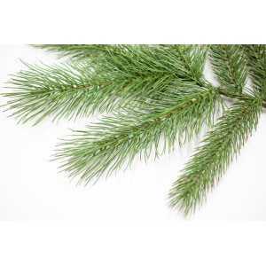 Новорічна декорація - хвойна гілочка, 60 см (ВЕТ-5)